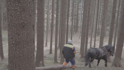 Ľudia na hranici (CZ)