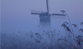 Krásy divokého Holandska (1)