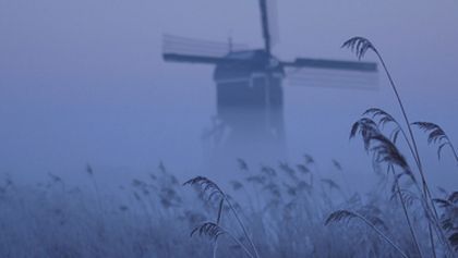 Krásy divokého Holandska (1)