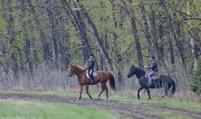 Ranč Heartland VII (18/18)