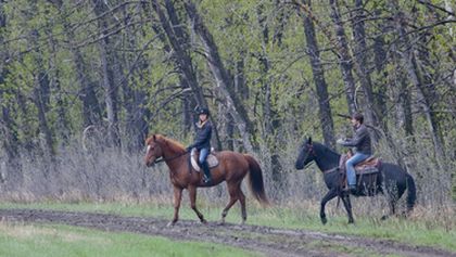 Ranč Heartland VII (18/18)