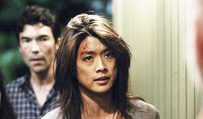 Hawaii 5-0 VII (6)