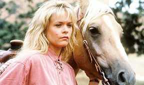 Danielle Steelová: Palomino