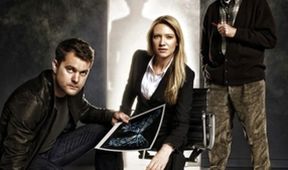 Fringe (17/20)