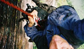 Amazonia vertical