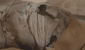Imhotep, stavitel Džoserovy pyramidy (2)