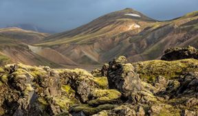 Svět přírody - Island: Divoký život