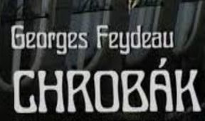 Chrobák v hlave