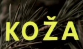 Koža