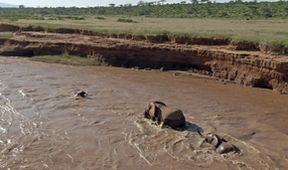 Serengeti III, Zázračná planeta (2/6)