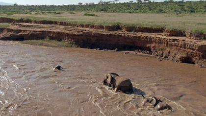 Serengeti III, Zázračná planeta (2/6)