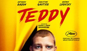 Teddy