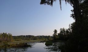 Ben Fogl a lidé žijící v divočině VII (6)