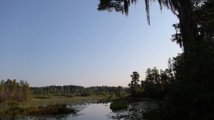 Ben Fogl a lidé žijící v divočině VII (6)