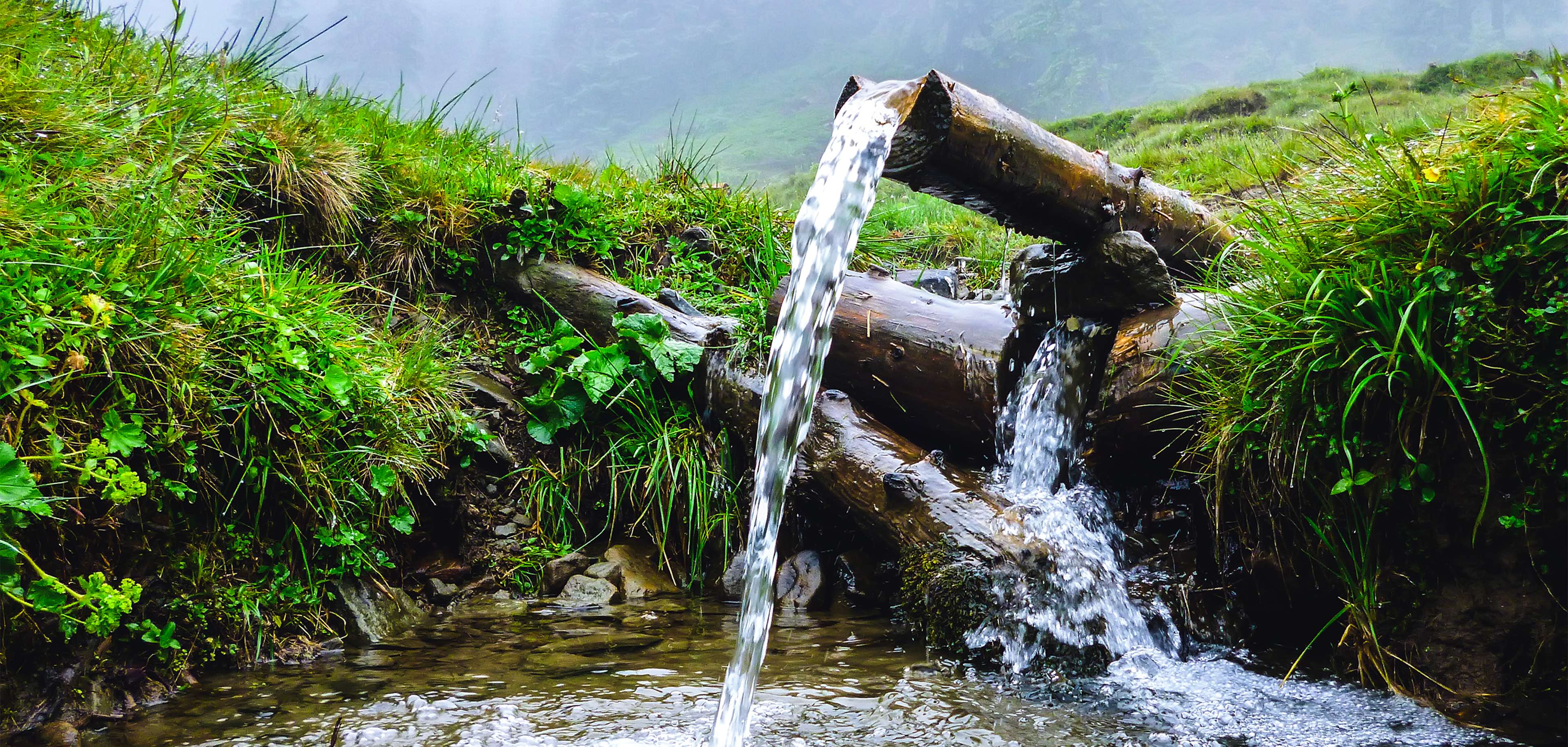Zázračná studánka u Berouna