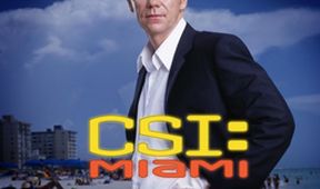 Kriminálka Miami VII (18/25)