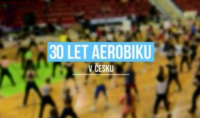 30 let sportovního aerobiku v ČR, Estetické sporty