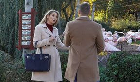 ZOO (207)
