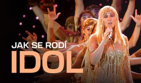 Jak se rodí idol
