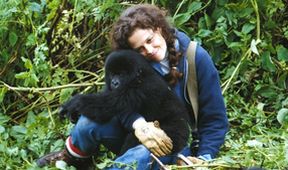 Gorily v mlze, Velikáni filmu... Sigourney Weaverová
