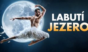 Labutí jezero, Z první řady...