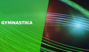 MČR společných skladeb, Moderní gymnastika