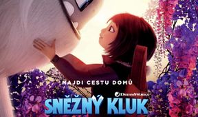 Snežný chlapec