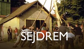 Šejdrem