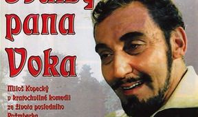 Svatby pana Voka