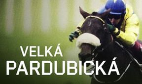 Velká pardubická 2024, Dostihy