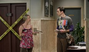 The Big Bang Theory XII (23/24)