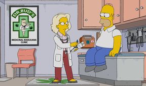 Simpsonovi XXVIII (13)