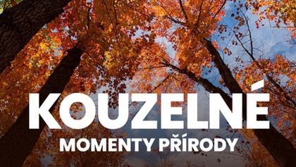 Kouzelné momenty přírody