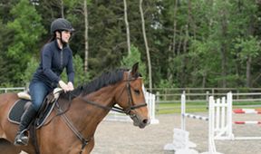 Ranč Heartland XI (4)