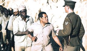 Madiba (2/3)