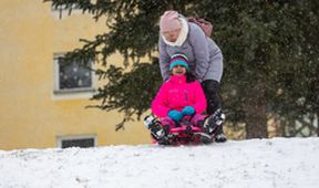Plné hnízdo v Karlovarském kraji (6/14)