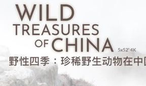 Říše čínské divočiny (3)