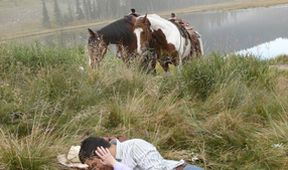 Nora Roberts: Pod nebem Montany