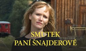 Smutek paní Šnajderové, Kino Art