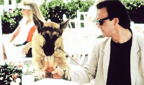 K-9: Můj přítel se studeným čumákem