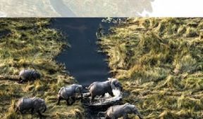 Okavango - řeka snů (2/4)