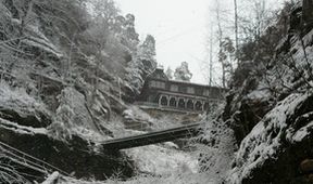 Návraty k divočině