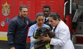 Chicago Fire III (10)
