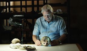 David Attenborough a obří dinosaurus