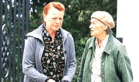 Cukrárna (3/13)