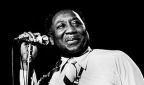Muddy Waters: Live in Chicago