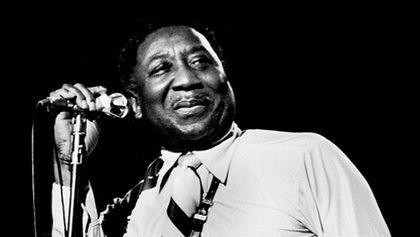 Muddy Waters: Live in Chicago