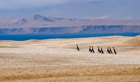 Peru: Divoké bojiště (2)