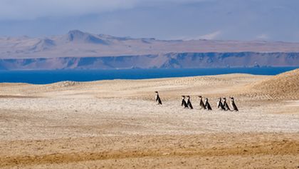 Peru: Divoké bojiště (2)