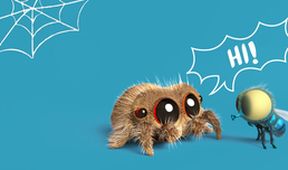 Lucas the Spider (61)